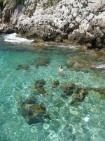 /album/villa-bennecourt-chambre-dhote/comme-un-poisson-dans-leau-du-cap-jpg/